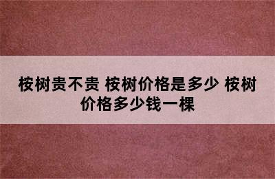 桉树贵不贵 桉树价格是多少 桉树价格多少钱一棵